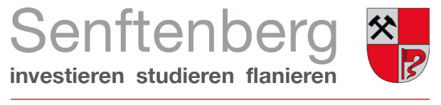 www.senftenberg.de
