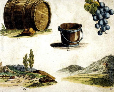 Orbis pictus_resize.jpg