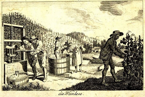 Weinlese_resize.jpg