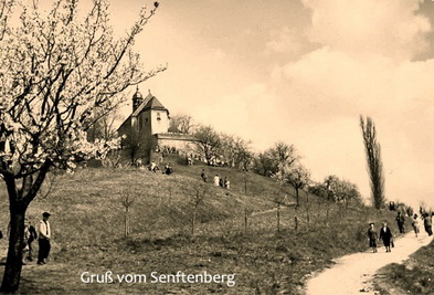 Gruss vom Senftenberg [Franken]_resize.jpg