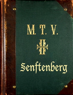 Logo MTV_resize.jpg
