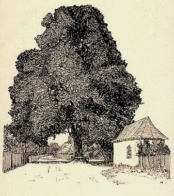 Hlg. Linde_resize.jpg