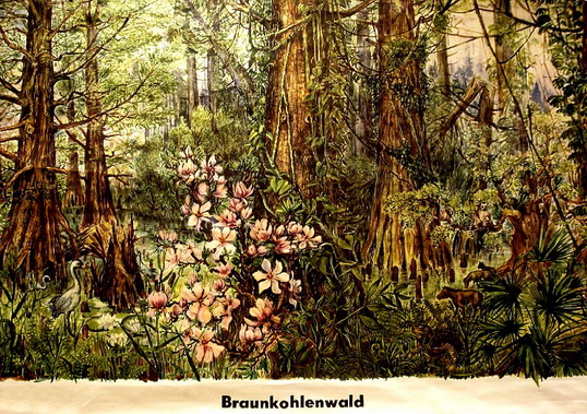 Braunkohlenwald_resize.jpg