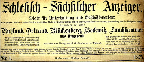 Schl.S.Anz. 1_1875_resize.jpg