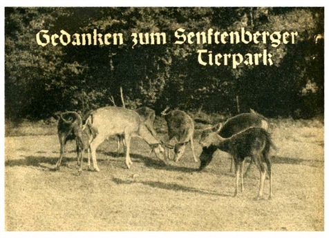 Tierpark 1_resize.jpg