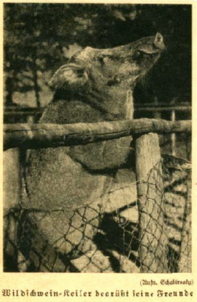 Tierpark 2_resize.jpg