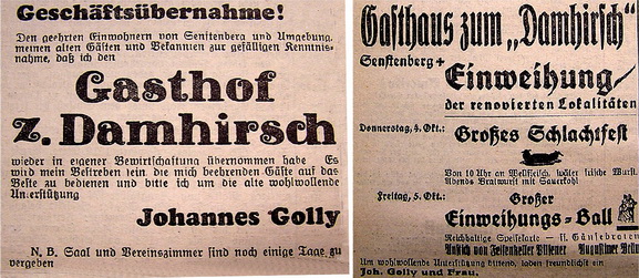 Damhirsch 3_resize.jpg